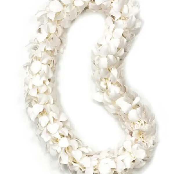 White flower lei on a plain background