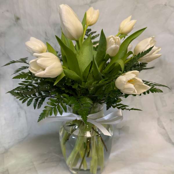 White tulips arranged in a glass vase with a white ribbon.