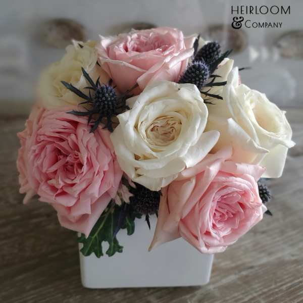 Pink and white roses in a white square vase
