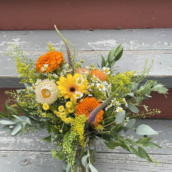 Designers Choice - Wild Child