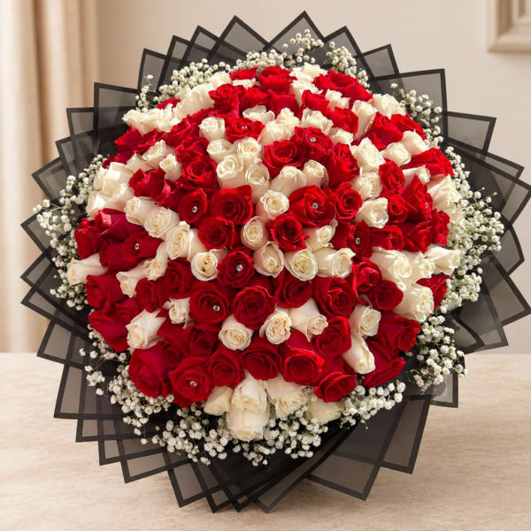 Large bouquet of red and white roses with black wrapping