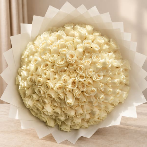 Bouquet of cream-colored roses wrapped in white paper