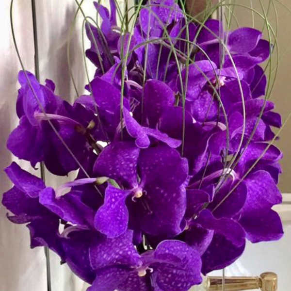 Purple orchids in a clear glass vase with curly grass stems