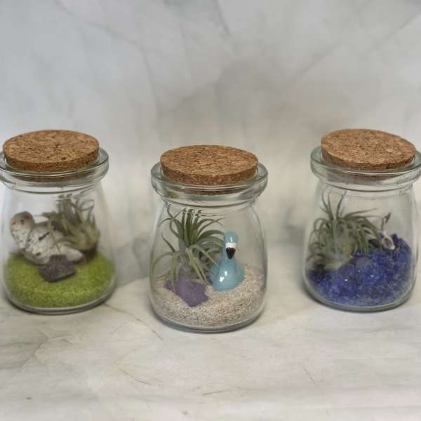 Three small glass jars with cork lids, each holding a tiny air plant and figurine