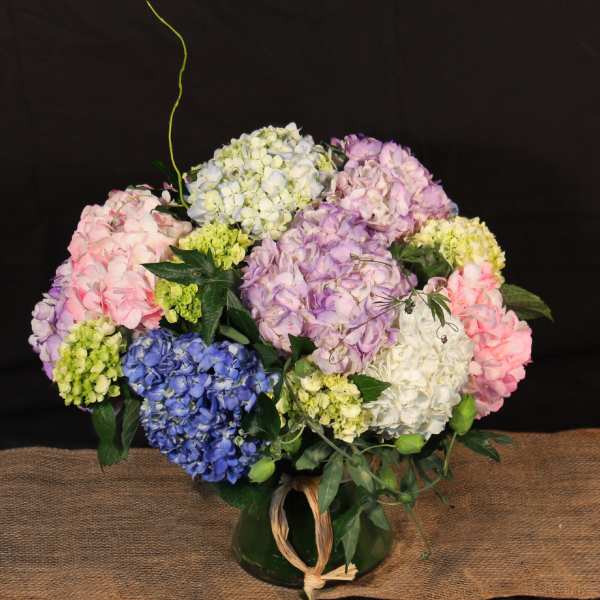 SEAMLESSLY ELEGANT HYDRANGEA