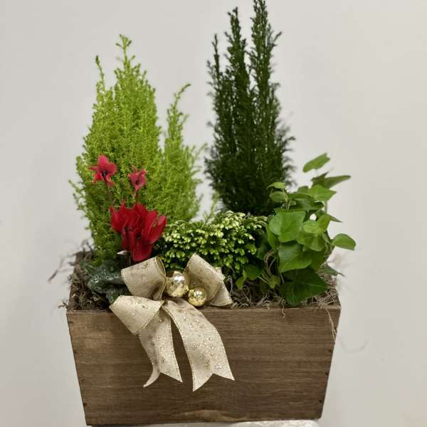 Enchanted Evergreens Holiday Garden by Westford Florist Art by Veny