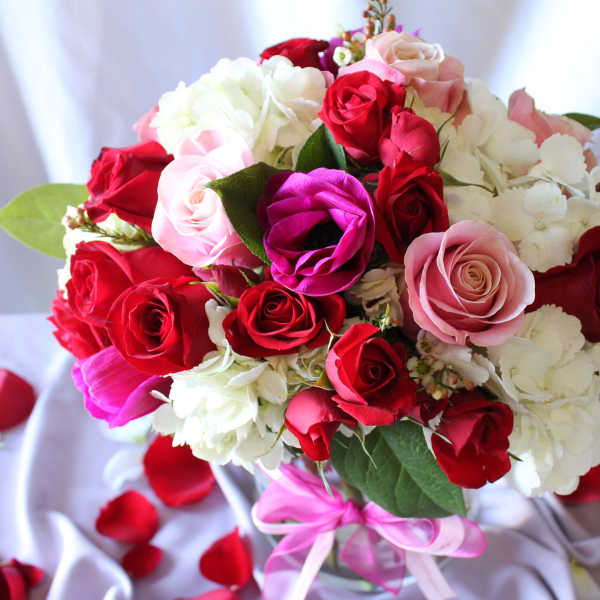 Bouquet of red, pink, and white roses with a pink ribbon