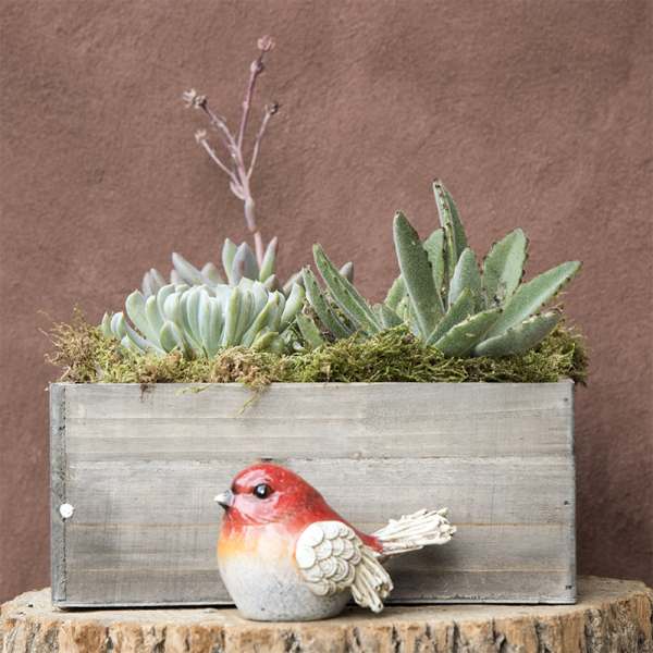 Succulent planter in a wooden box with a small bird figurine