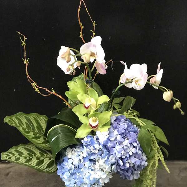 Orchid and hydrangea arrangement in a glass vase