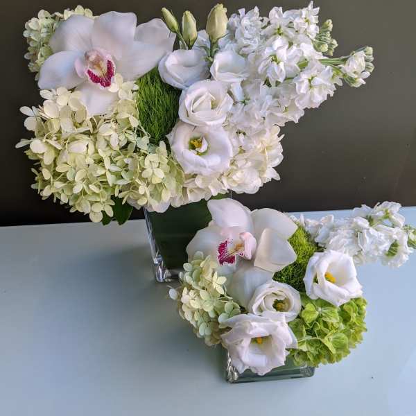 Hamptons green and white designer duo