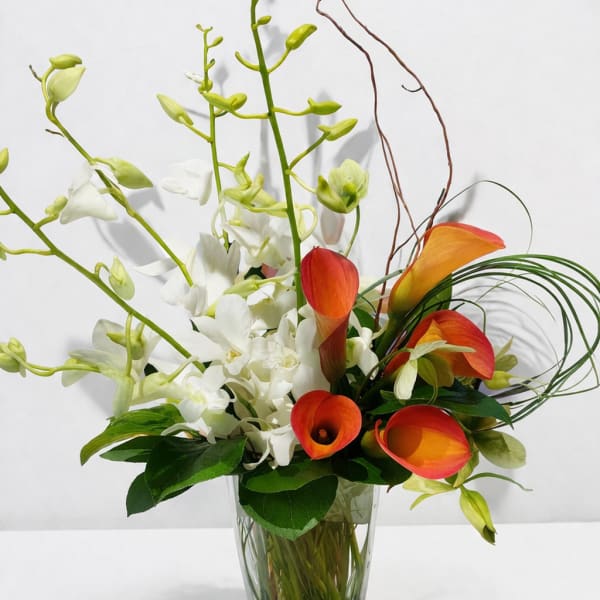 Sunset Orchid calla Elegance