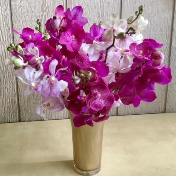 Pink and white orchids arranged in a tall glass vase