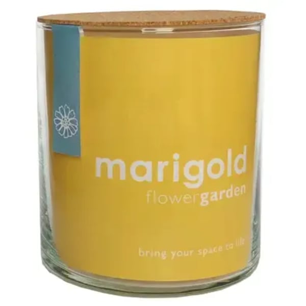 Marigold Flower Garden