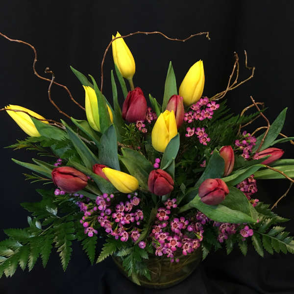 Local Tulips bowl with Curly Willow branches