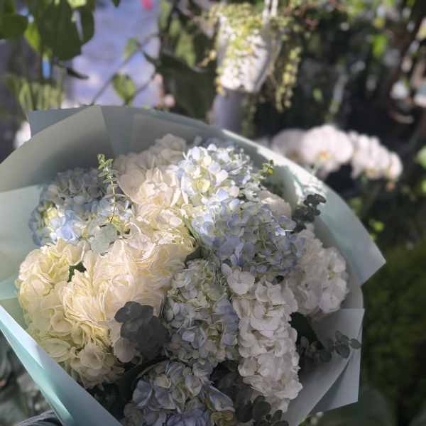 Bouquet of pale blue, white, and cream hydrangeas wrapped in light blue paper