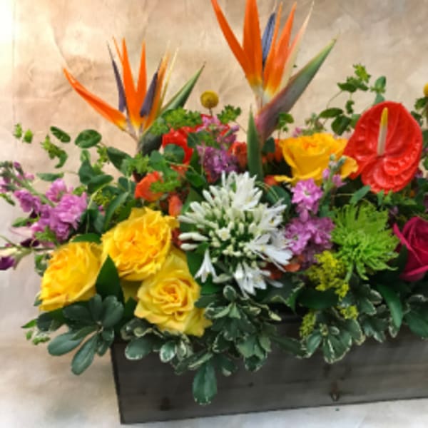 Tropical floral arrangement with roses and bird-of-paradise in a rectangular container