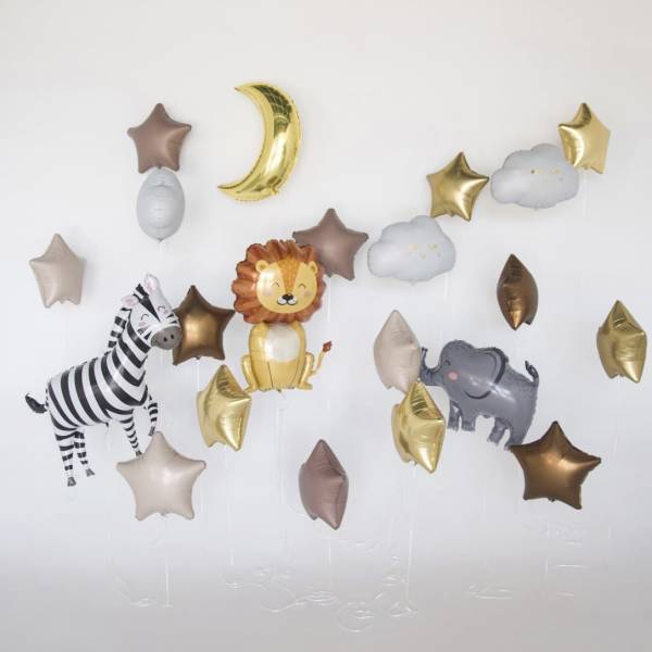 Balloon Set
