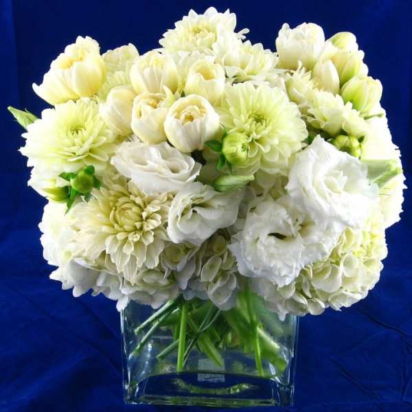 White flowers arranged in a clear glass vase