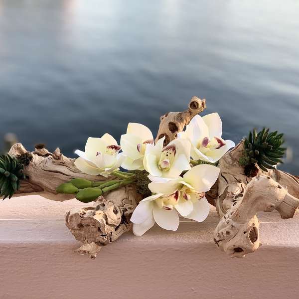 White orchids arranged on driftwood with small succulents