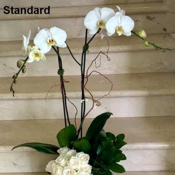 White phalaenopsis orchids with a cluster of ivory roses in a low white bowl