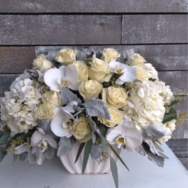 Ivory Elegance