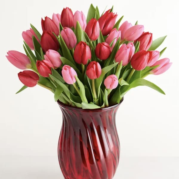 Bouquet of pink and red tulips in a red glass vase