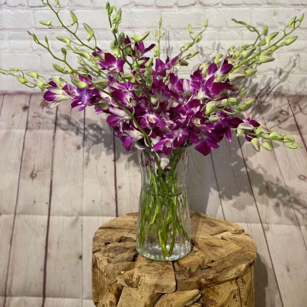Purple orchids arranged in a clear glass vase