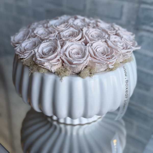 Pale pink roses arranged in a white ribbed vase