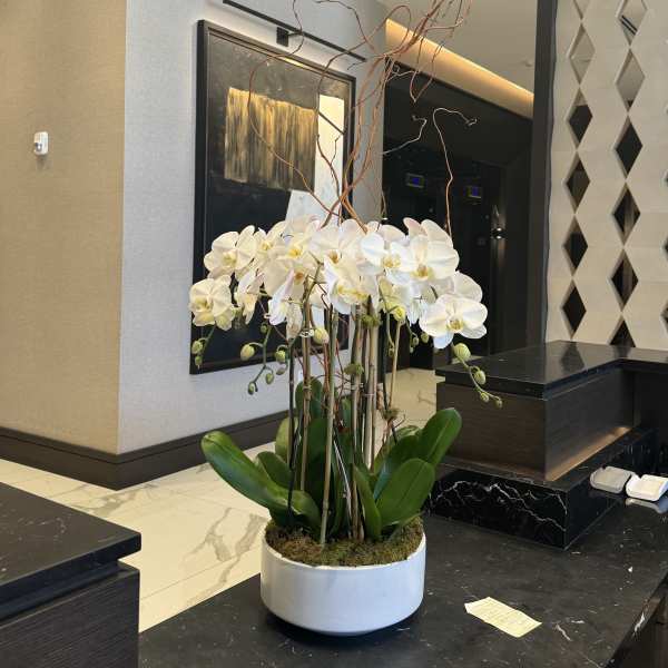 White orchids arranged in a white bowl planter with tall decorative branches
