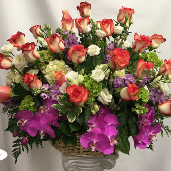 Large basket arrangement of red-edged roses, purple orchids, and green hydrangeas