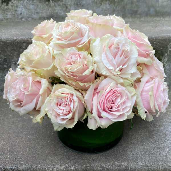 Two Dozen Classic Roses - Designer's Choice Color