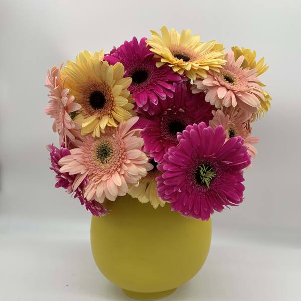 Pink and yellow gerbera daisies arranged in a yellow vase