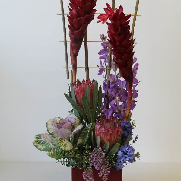 Tall tropical arrangement with red blooms, purple orchids, protea, and kale in a red square vase with bamboo trellis