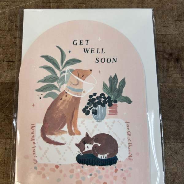 Get well soon card with illustrated dog in cone, sleeping cat, and houseplants on a peach background