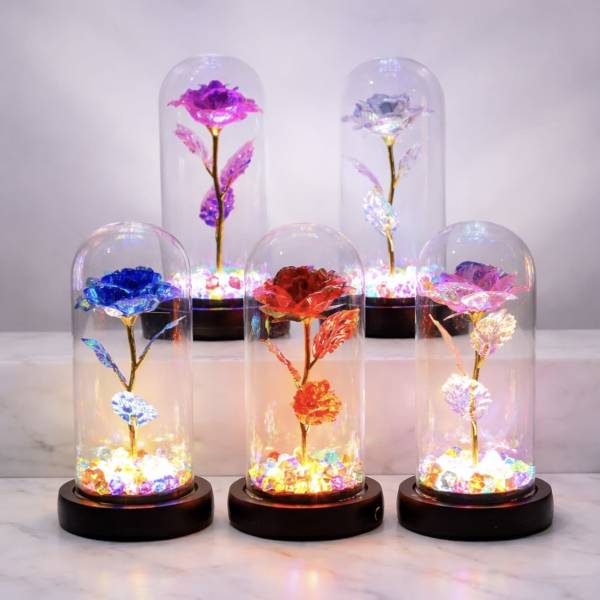 Four illuminated glass domes with colorful artificial roses on black bases