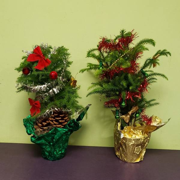 Two small decorated tabletop Christmas trees in foil pots