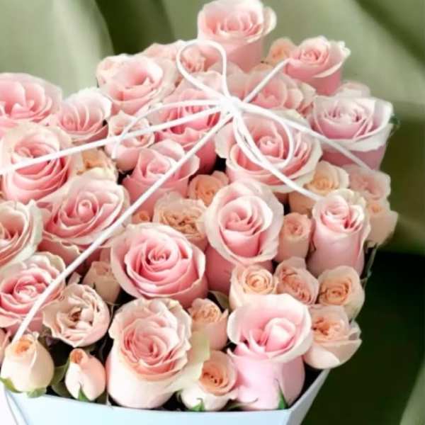 Bouquet of pale pink roses tied with white ribbon