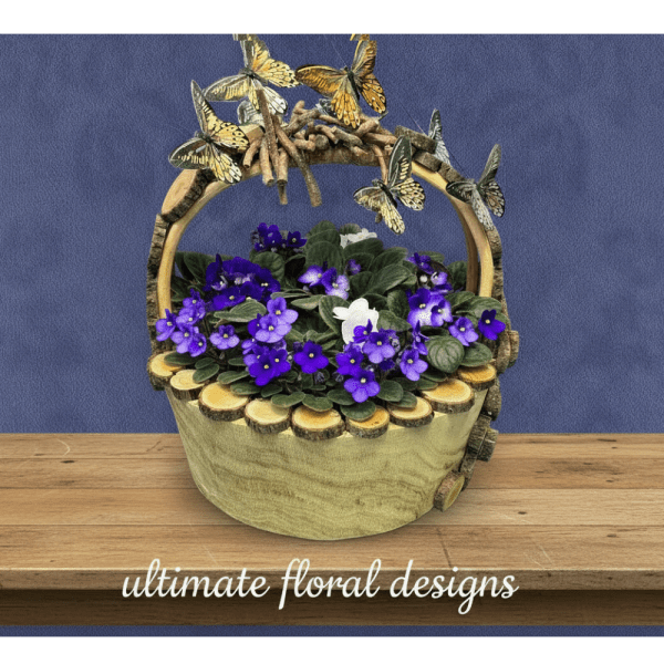 Basket arrangement of purple and white violets with butterfly decorations