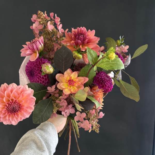 Handheld bouquet of pink and orange dahlias with dark foliage