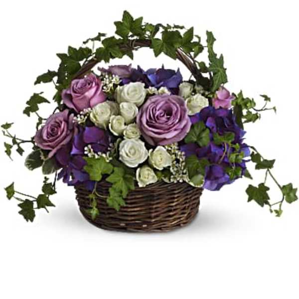 Basket arrangement of purple and white roses with ivy