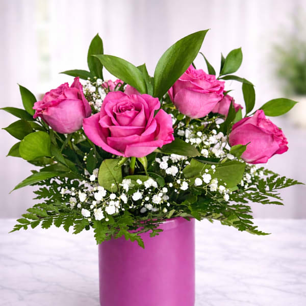Pink roses arranged in a magenta vase with white filler flowers