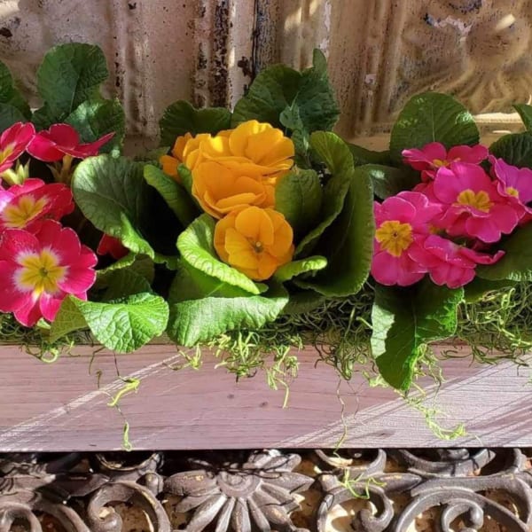 Rectangular planter with pink, white, and yellow flowers
