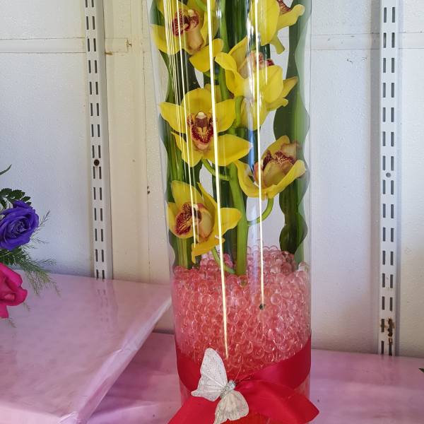 Tall yellow orchid arrangement in a clear cylinder with red ribbon and butterflies