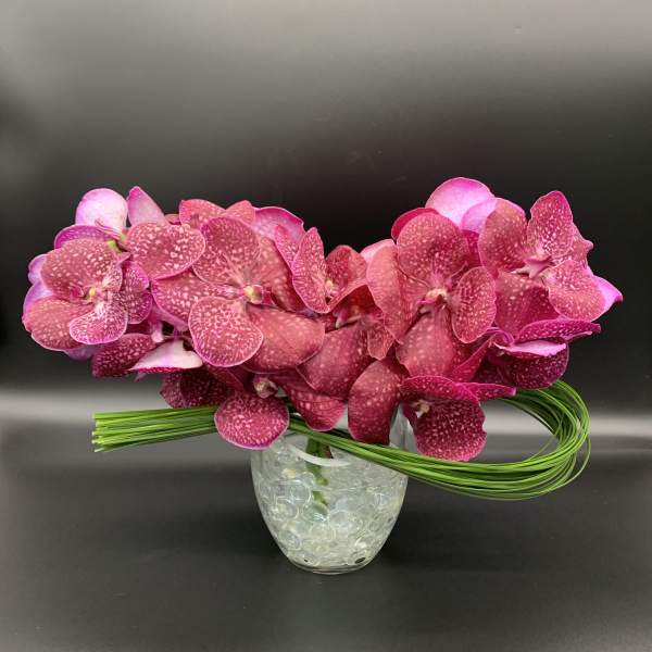 Pink orchids arranged in a clear glass vase with looping green stems