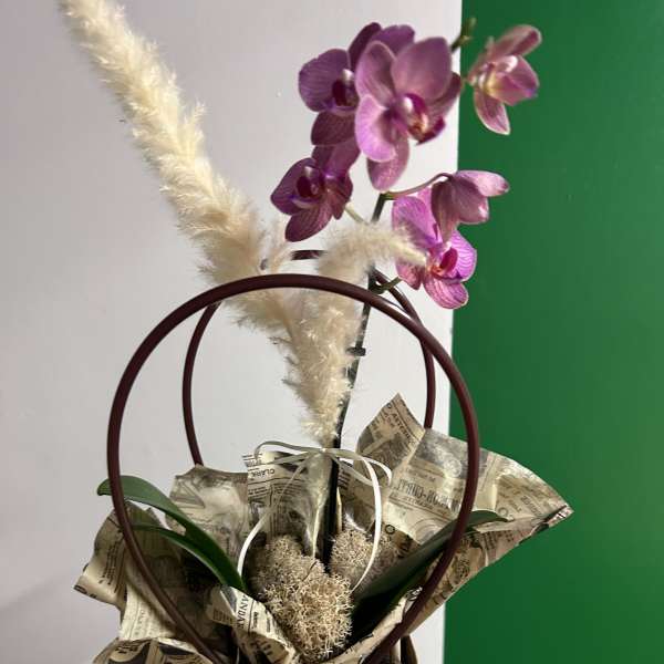 Purple orchid stems in a gift bag with dried pampas grass