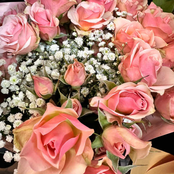 Hand-tied bouquet of pink roses with white filler flowers wrapped in soft pink paper