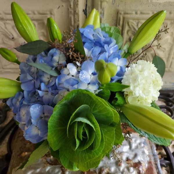 Blue hydrangeas with green lily buds and a white hydrangea bloom