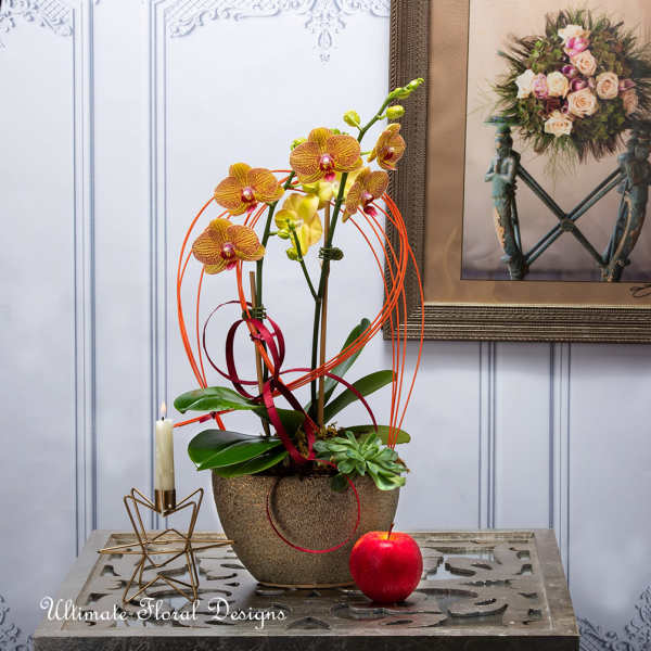 Orchid arrangement in a textured pot with ribbon loops, a candle, and a red apple