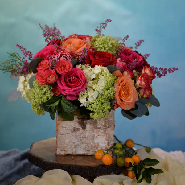 Mixed roses and hydrangeas in a birch bark container