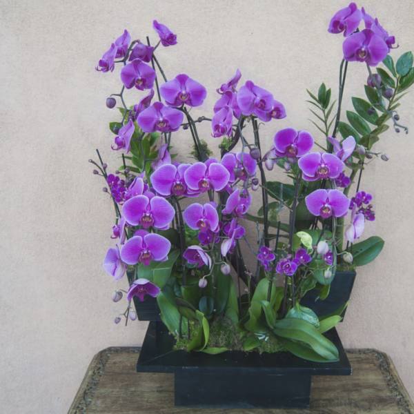 Purple orchids arranged in a black rectangular container